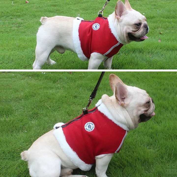 5 dog harness 