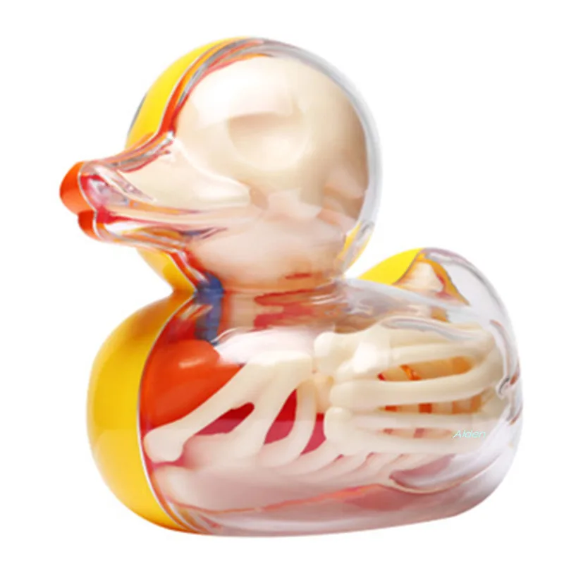 

4D XXRAY Duckling Perspective Skeletal Anatomy Model BFF Original Fake Plastic Street Art Action Figure Toy BOX 8CM Z1490