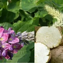 Крем для увеличения груди, увеличение груди, увеличение груди, женский крем, сильный