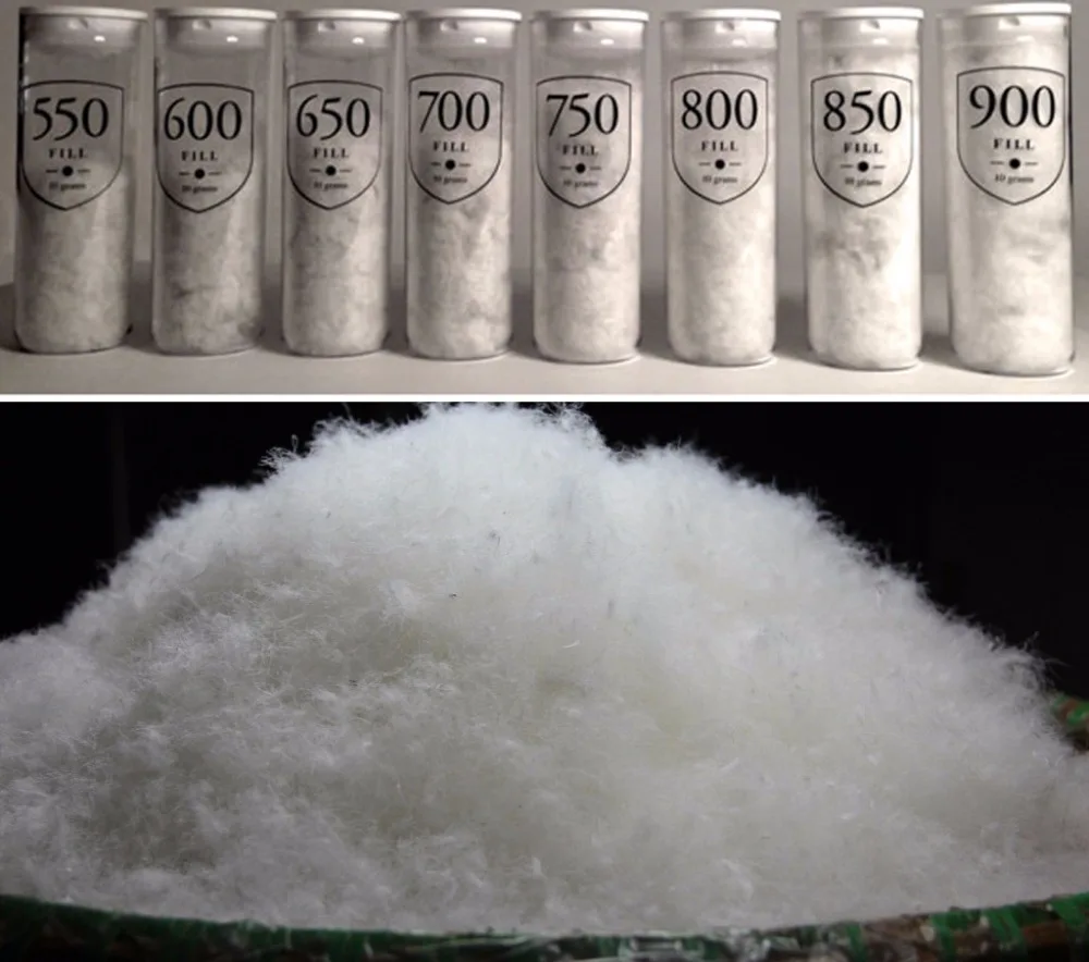 4456363237_1312225097