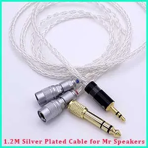 mr speaker1
