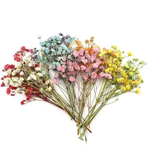 60 шт прессованный высушенный 4-10 см Гипсофилы цветы гербарий из растений для ювелирных изделий открытка с пригласительным билетом чехол для телефона Закладка ремесло DIY