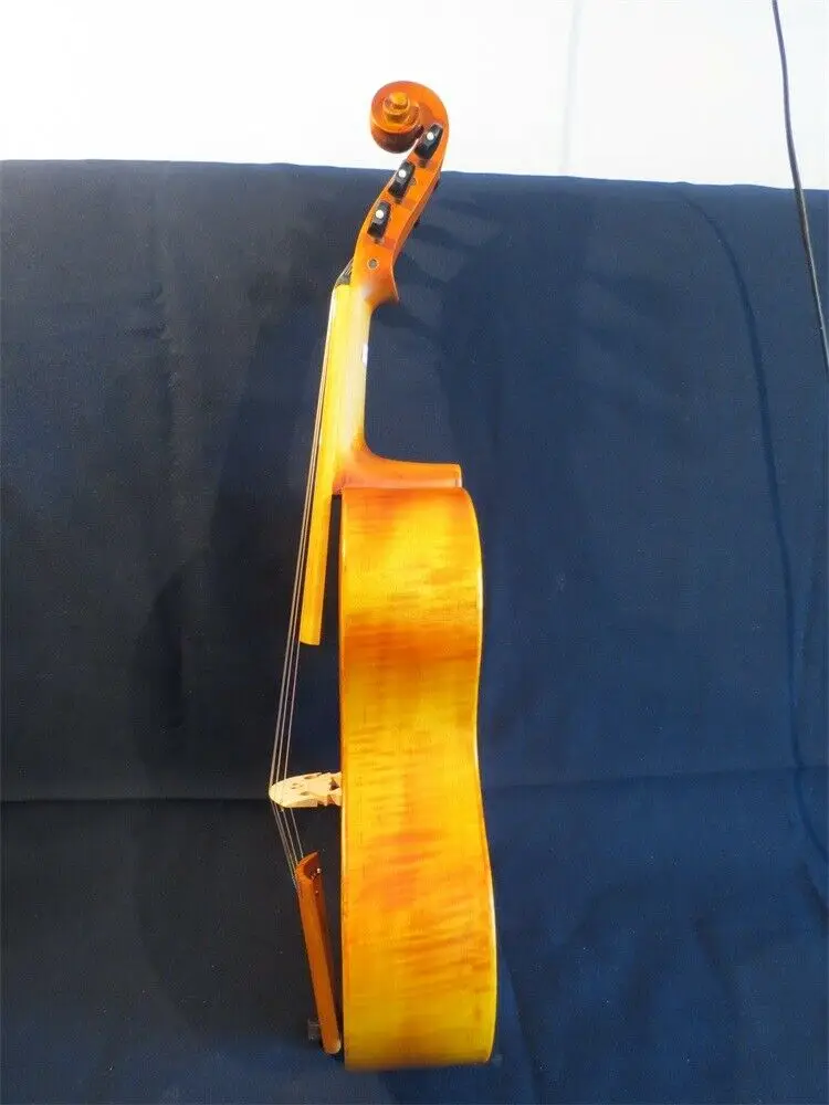 Песня брена маэстро 7 string 1" viola da gamba, хороший звук#13918