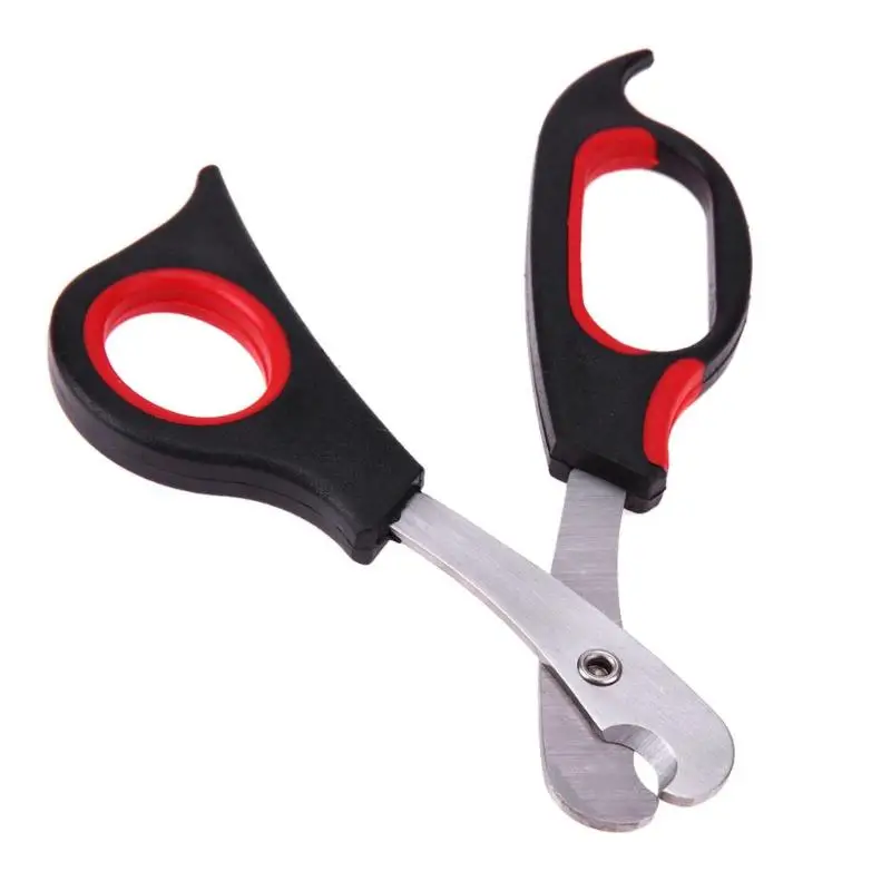 Buy Pet Dog Cat Nail Toe Claw Clippers Scissors Pet