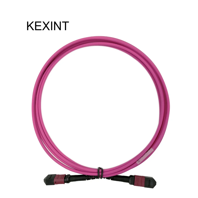 Cavo Patch In Fibra Ottica Kexint Mtp-Mtp Om4 24Core 40G Cavi Patch In Fibra/3 Metri