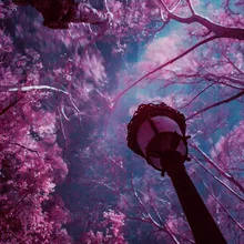 Набор для рисования по номерам для взрослых DIY