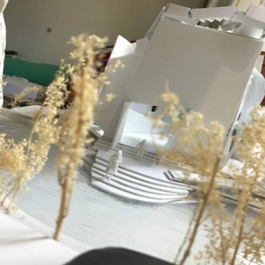 50 г/лот модель сцены Производство дерева натуральный Quinoa бесплатная доставка для