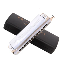 12 Hole 48tone Chromatic Harmonica Professional Armonica Cromatica 12 Holes Mouth Organ Woodwind Musical Instruments