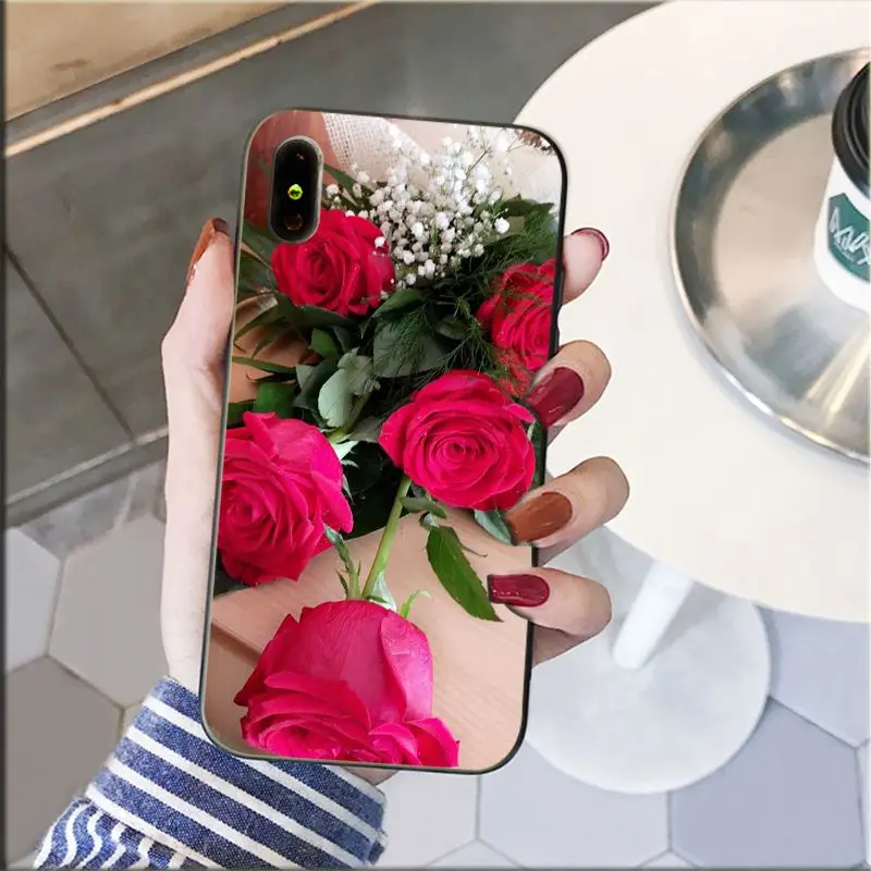 Red Pink Rose