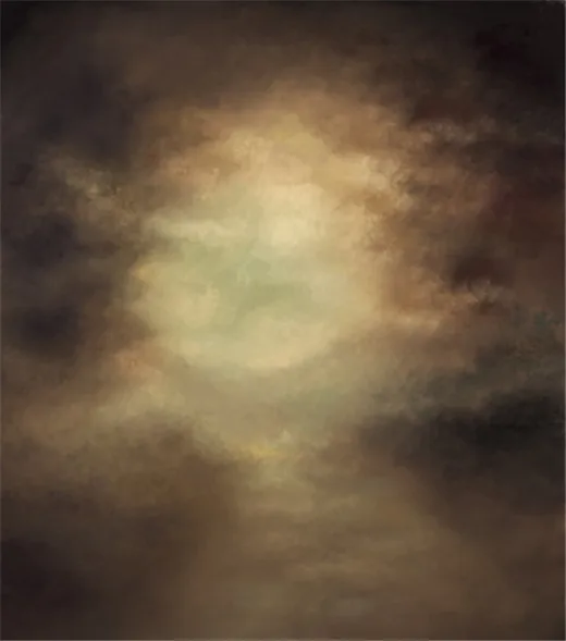 8x8FT Indoor Dark Brown Olive Color Wall Wedding Custom Photography