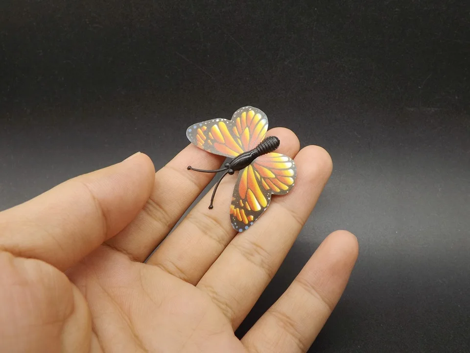I258-Butterfly (2)