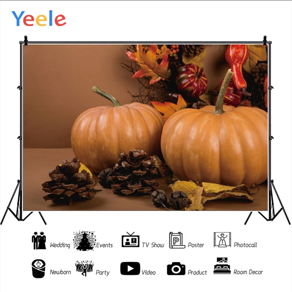 Yeele Тыква увядший кленовый лист День благодарения осенние фотографии фоны