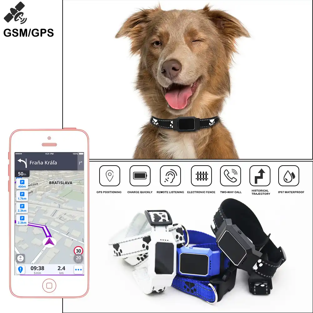 real time gps dog tracker