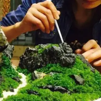 

New Micro Landscape Decoration DIY Mini Fairy Garden Simulation Plants Artificial Fake Moss Decorative Lawn Turf Green Grass