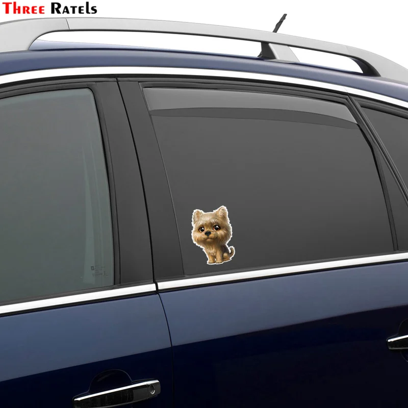 Три Ratels TRL546#10x14 см Йоркшир собака Прокат забавные наклейки и надписи