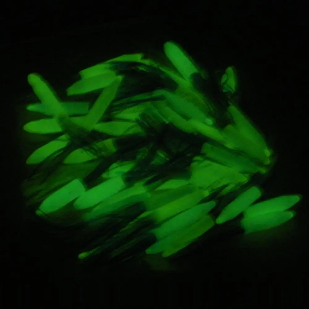 DSCF2472