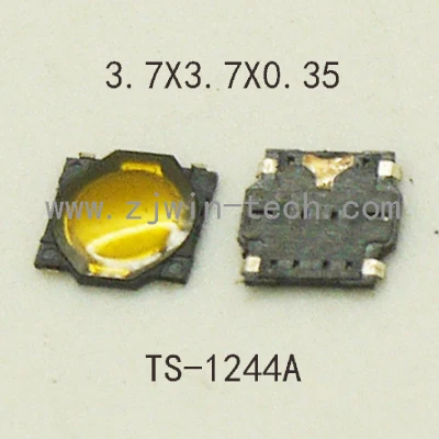 TS-1244A
