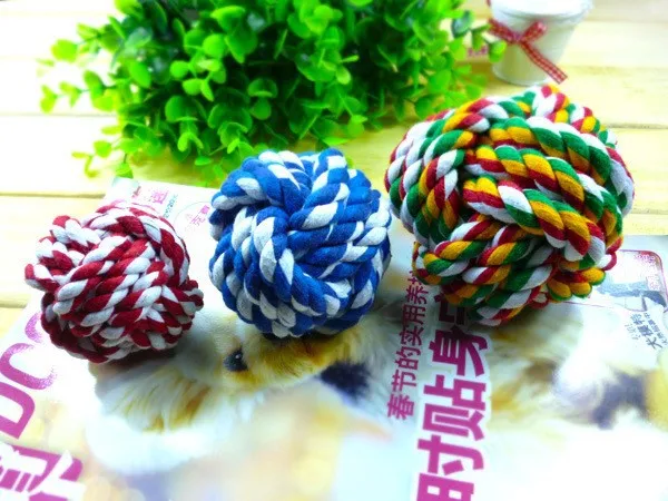 pet toy (1)