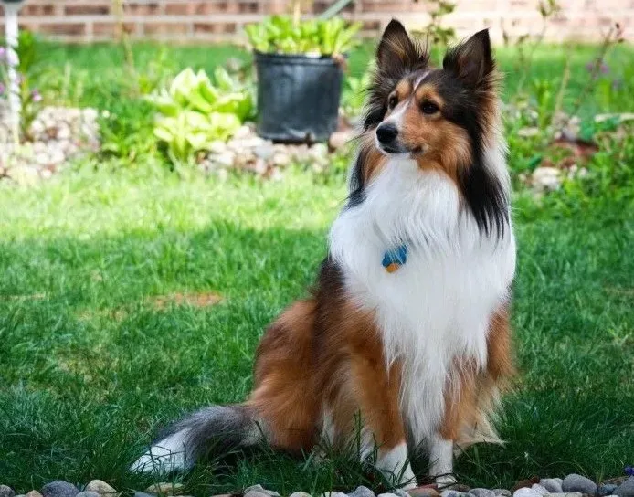 HTB1DeXdadjvK1RjSspiq6AEqXXap