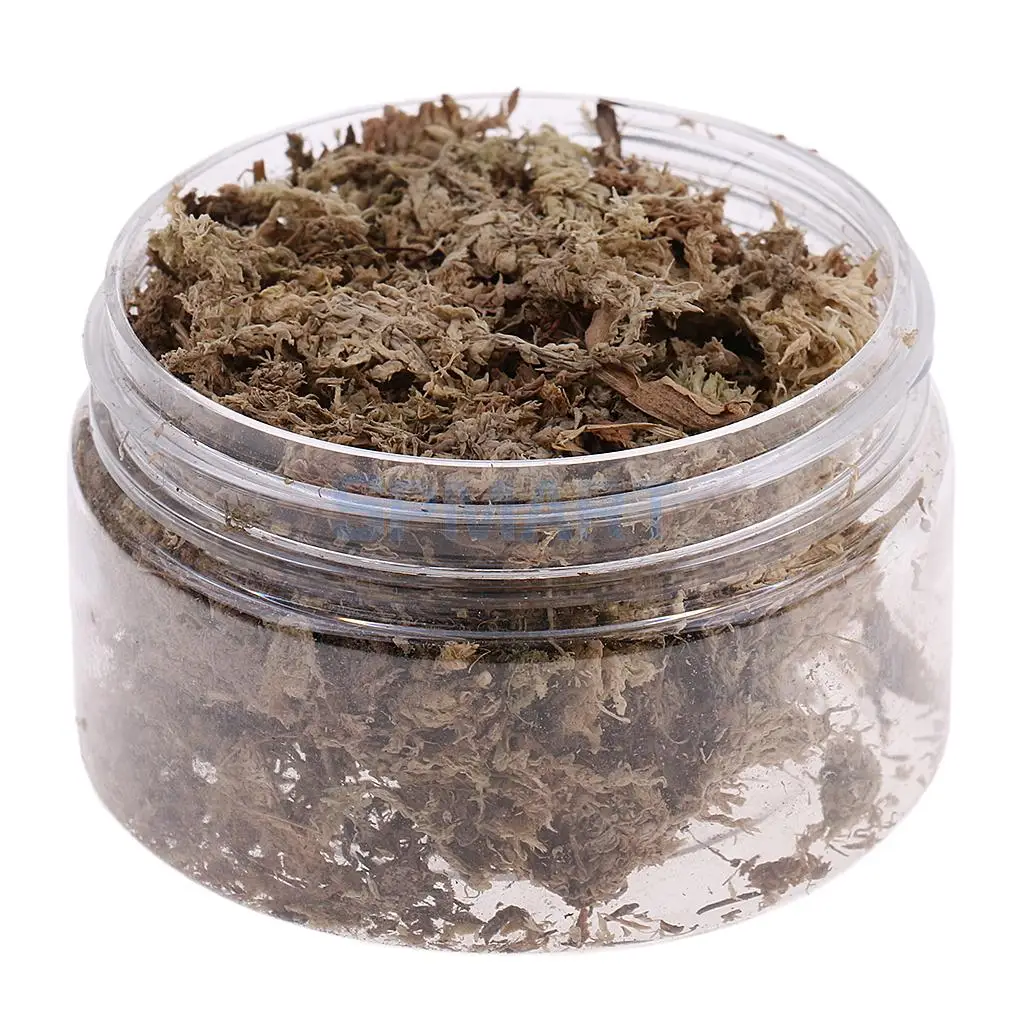 100ML/500ML Dry Grass Model Moss for Layout Terrain Vegetation Diorama Building Toy