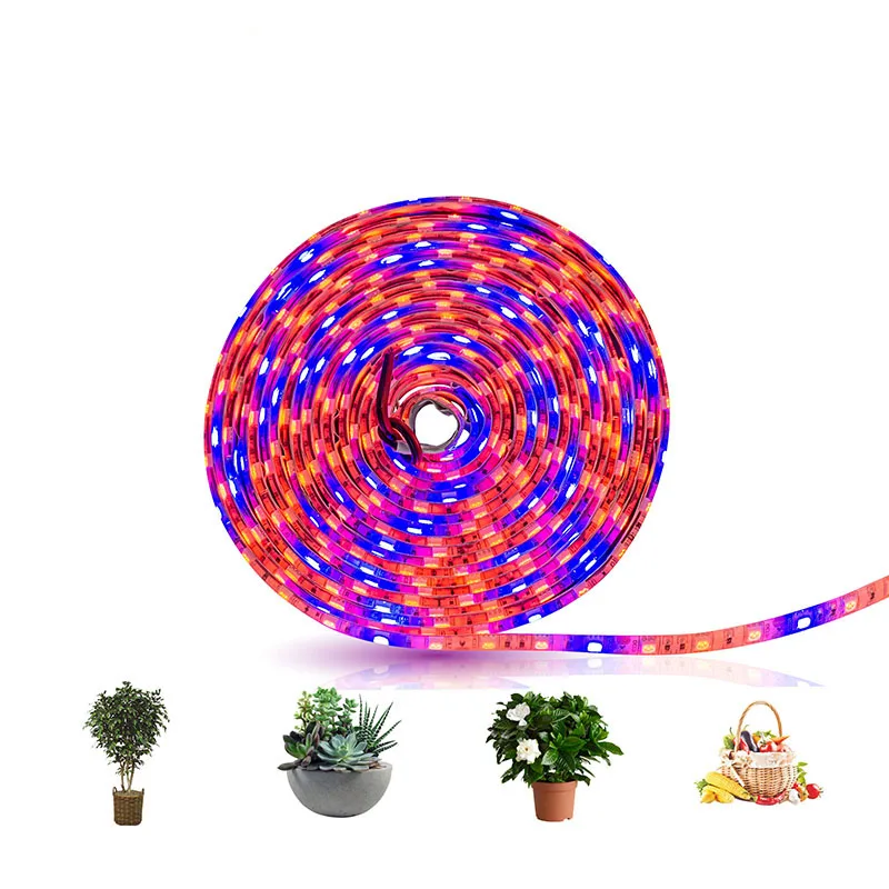  LED 5M Grow Light Strip S5050 3/4/5 Red 1 Blue Full Spectrum IP65 Phyto Lamp DC12V Fitolamp for Gre - 33012191374