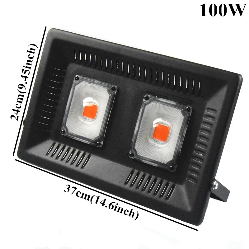 100W