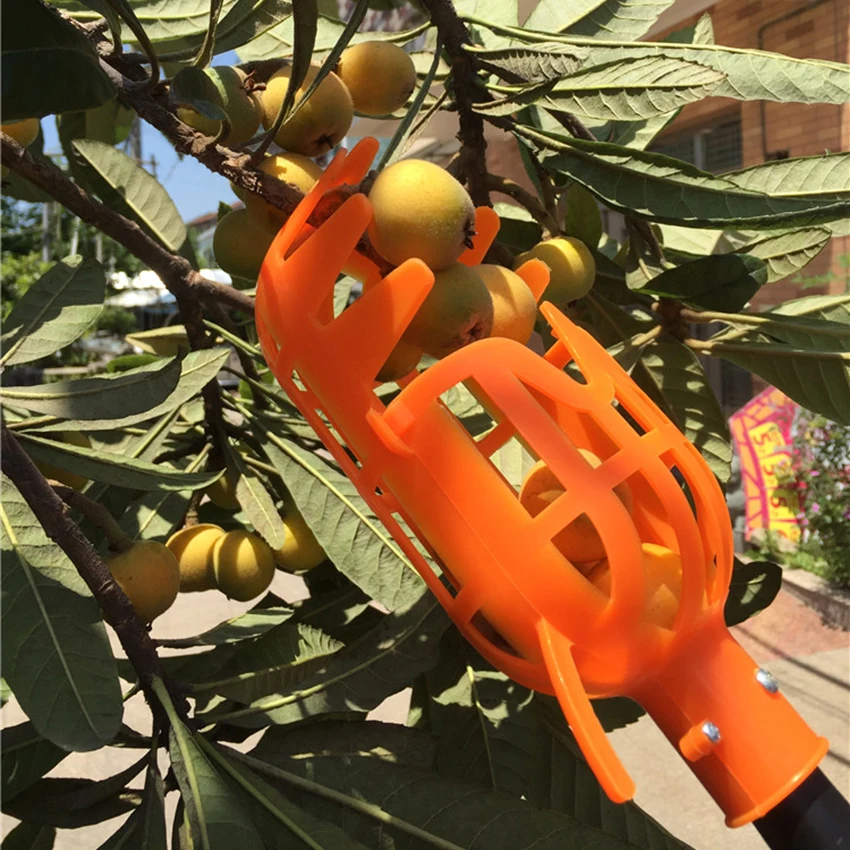 

Garden Tools Fruit Picker Head PlasticFruit Picking Tools Fruits Catcher Picking Apple Citrus Pear Peach Hand Tools