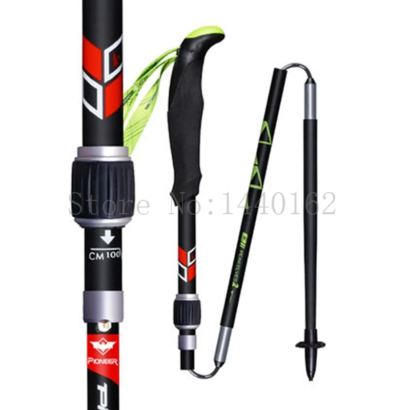 TP063 walking sticks (16)