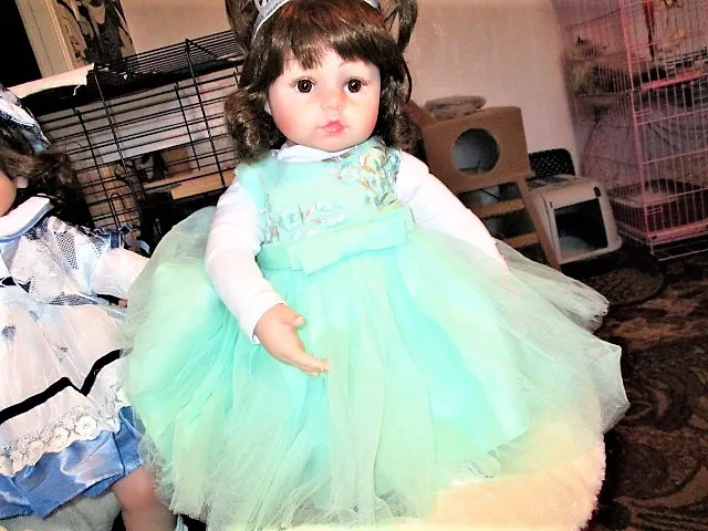 UTB8jKNAISnEXKJk43Ubq6zLppXaY