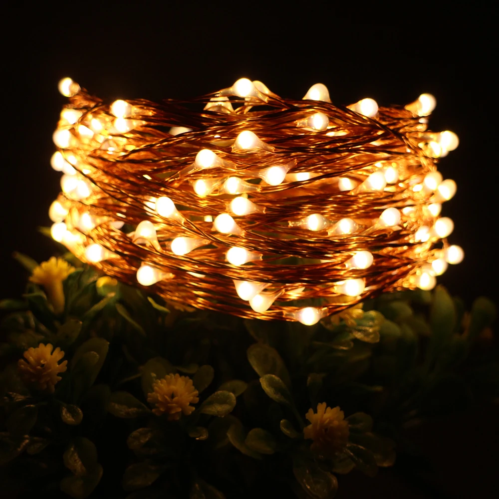 

33FT 10M 100LED Copper Wire LED String Lights With 12V 1A Adapter Led Touch Dimmer Decoration Party Christmas Starry Fairy Light