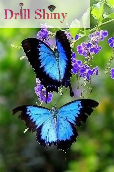 

DIY 5D Diamond Embroidery Painting Full Mosaic Rhinestone Painting Animals Butterfly 3D Cross Stitch Landscape Room Decor