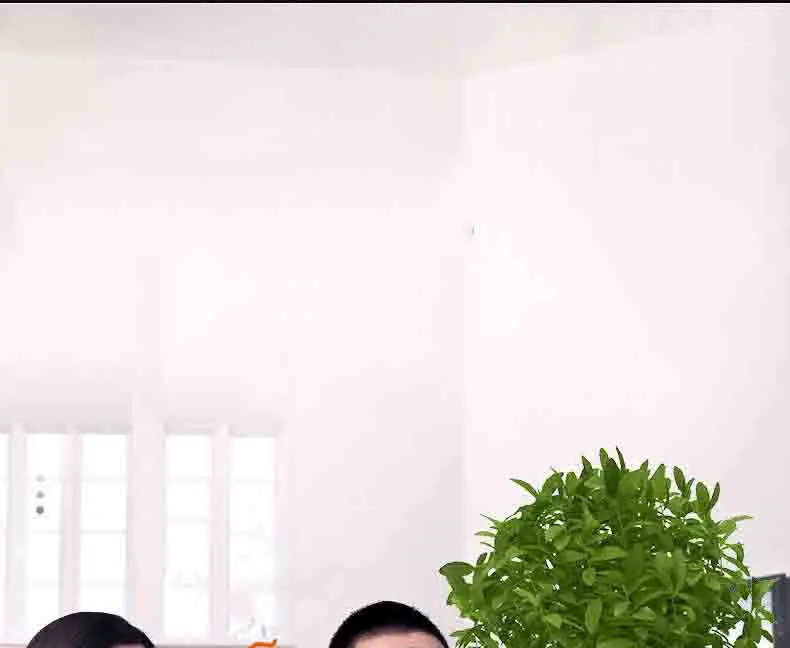 A3