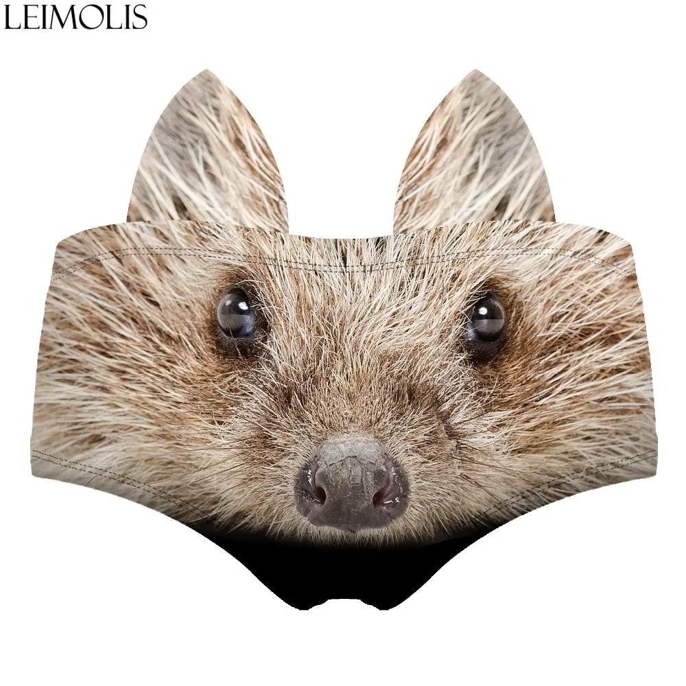 55109 hedgehog wiz back