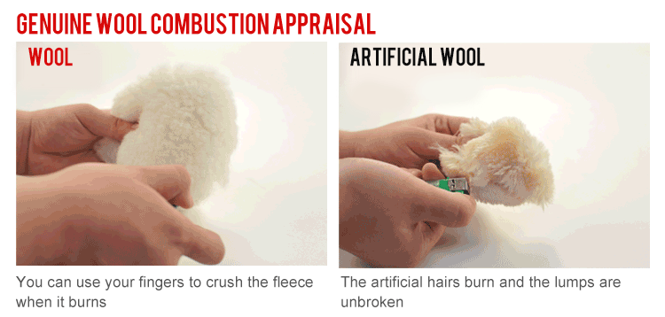 2950611583_1408067776-1