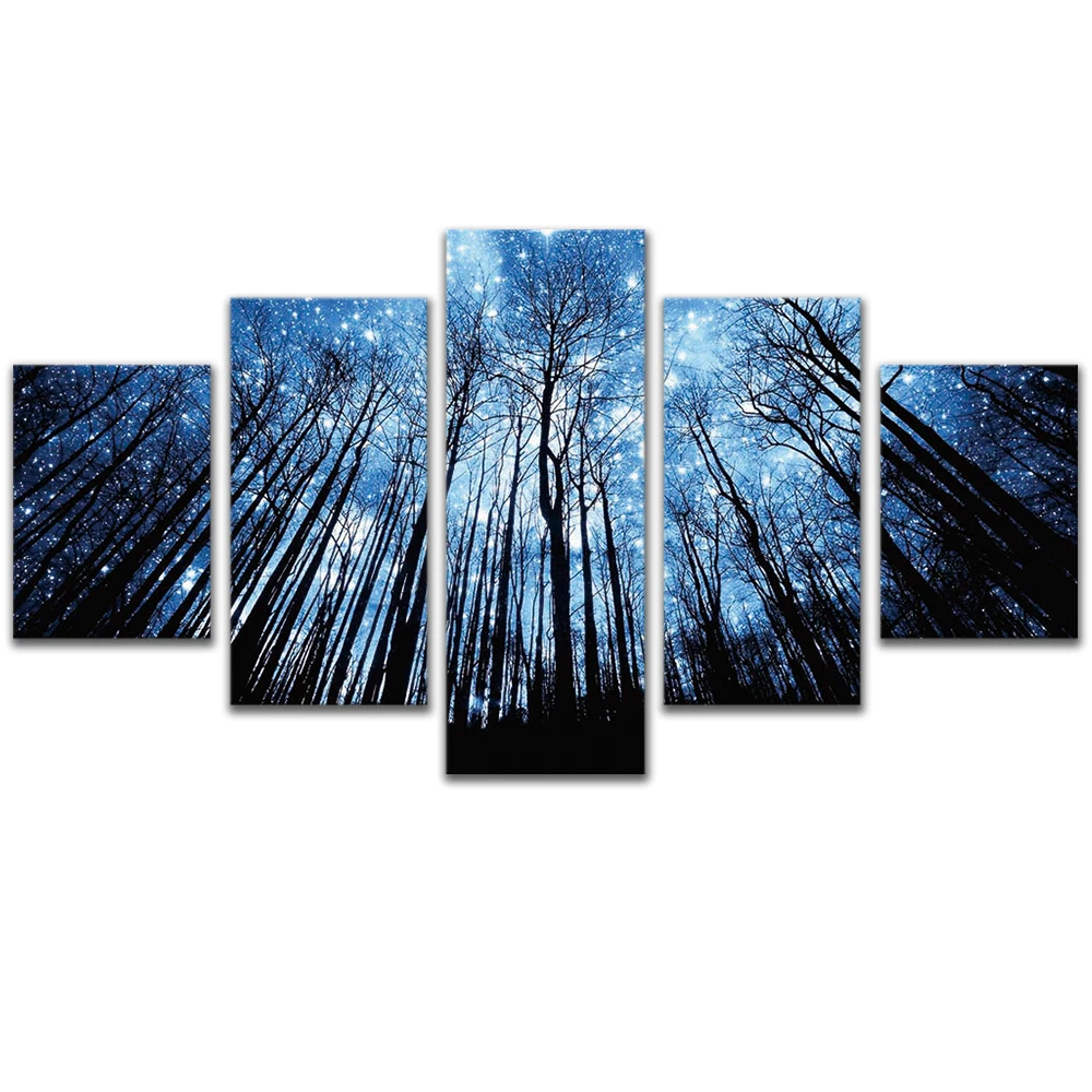 T5-0169-1_1