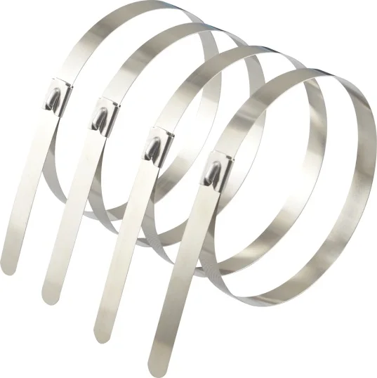 

100pcs 12*200mm Stainless Steel 201/304/316 Zip Cable Ties Lock Tie Wrap
