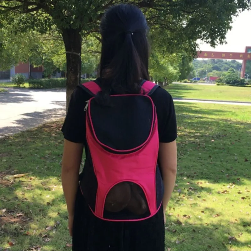 HTB1SlL_XojrK1RkHFNRq6ySvpXav