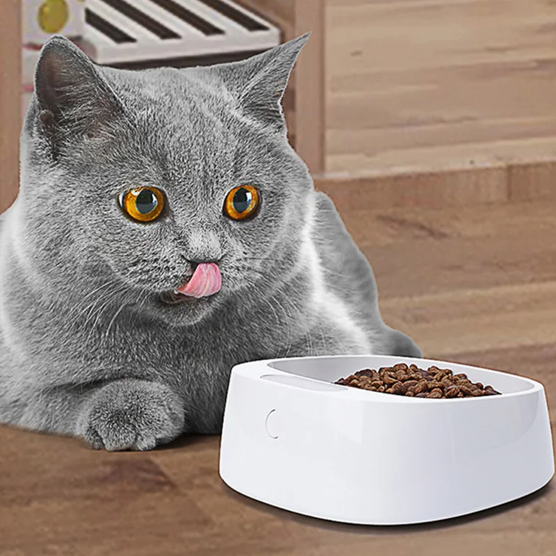 

Smart Pet Bowl Weighing Pet Bowl Durable 2*AAA Waterproof Pocket-Portable Dog Bowl Dog Health Care Bacteria Control Fresh