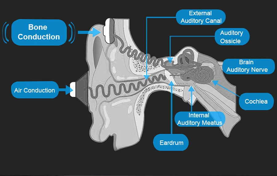 Новейшие Bluetooth наушники с костной проводимостью, Спортивная гарнитура, стерео бас наушники с микрофоном, USB Беспроводные наушники
