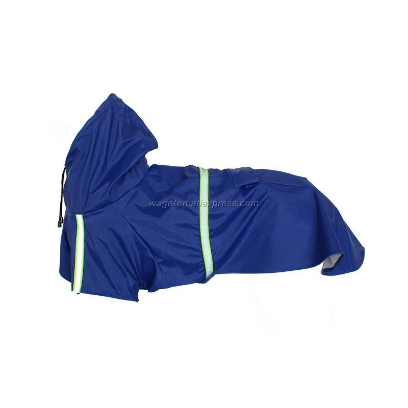 dog raincoat blue 