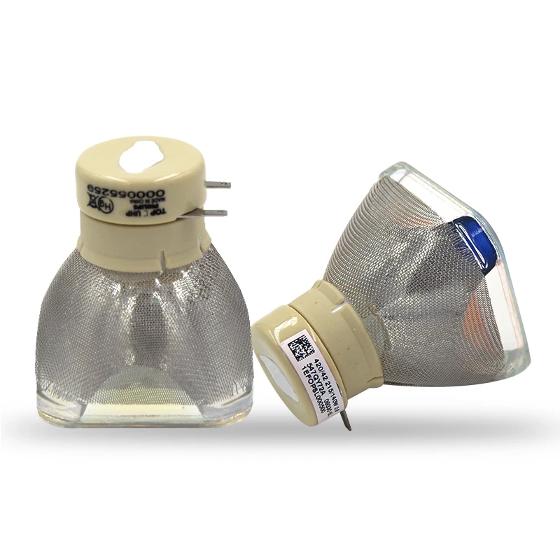 DT01411   Projector Lamp