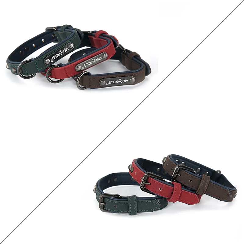 dog collar (2)