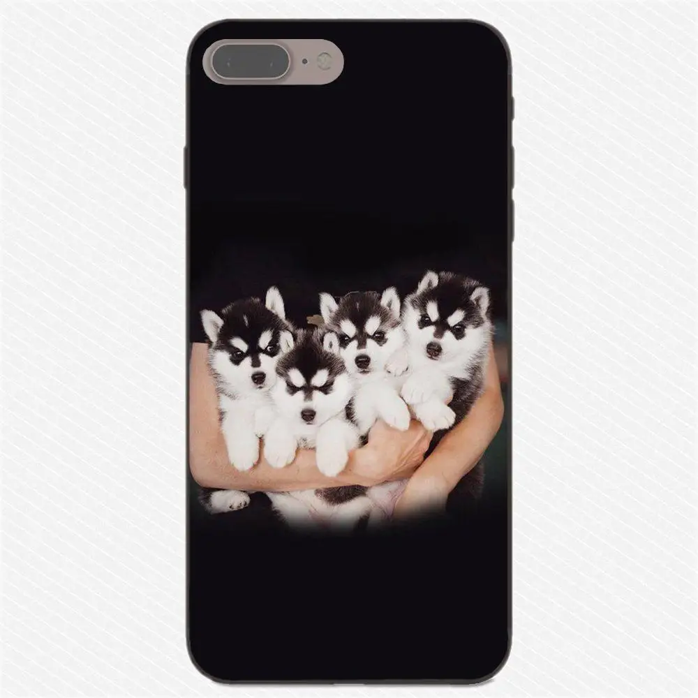 Милый Забавный милый собачий Хаски для Apple iPhone X XS Max XR 4 4S 5 5S SE 6 6S 7 8 Plus мягкий TPU