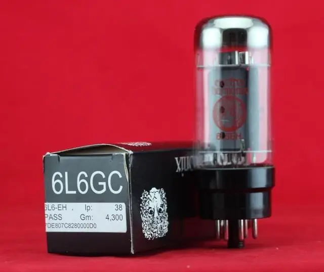 6L61