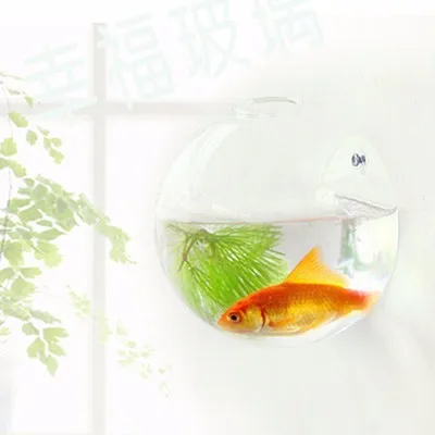 Decorative-wall-hanging-wall-vase-clear-glass-vessel-wall-flower-floral-creative-home-hydroponic (1)
