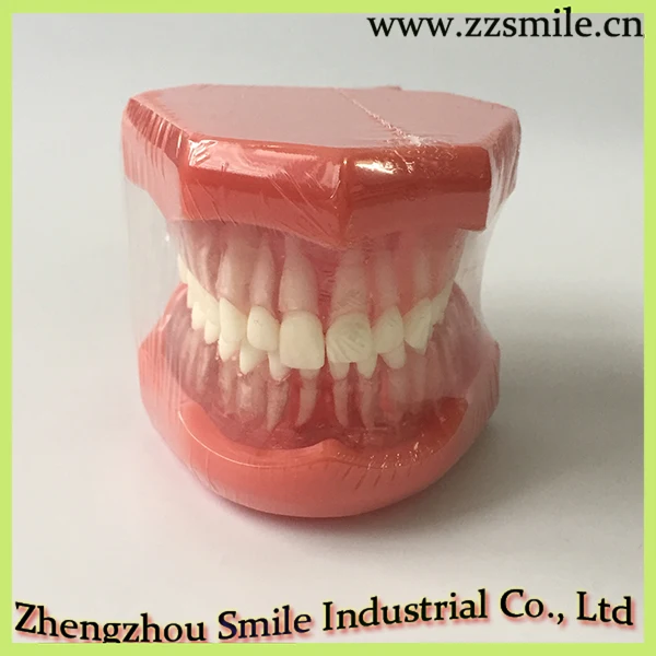 Стоматологические мягкие десны со съемными зубами (полная петля) модель/стандартная модель зубов M7005