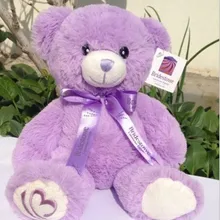 30 см Плюшевые игрушки многофункциональная Плюшевая Кукла Dakimakura сиреневый медведь милая плюшевая кукла из фильма