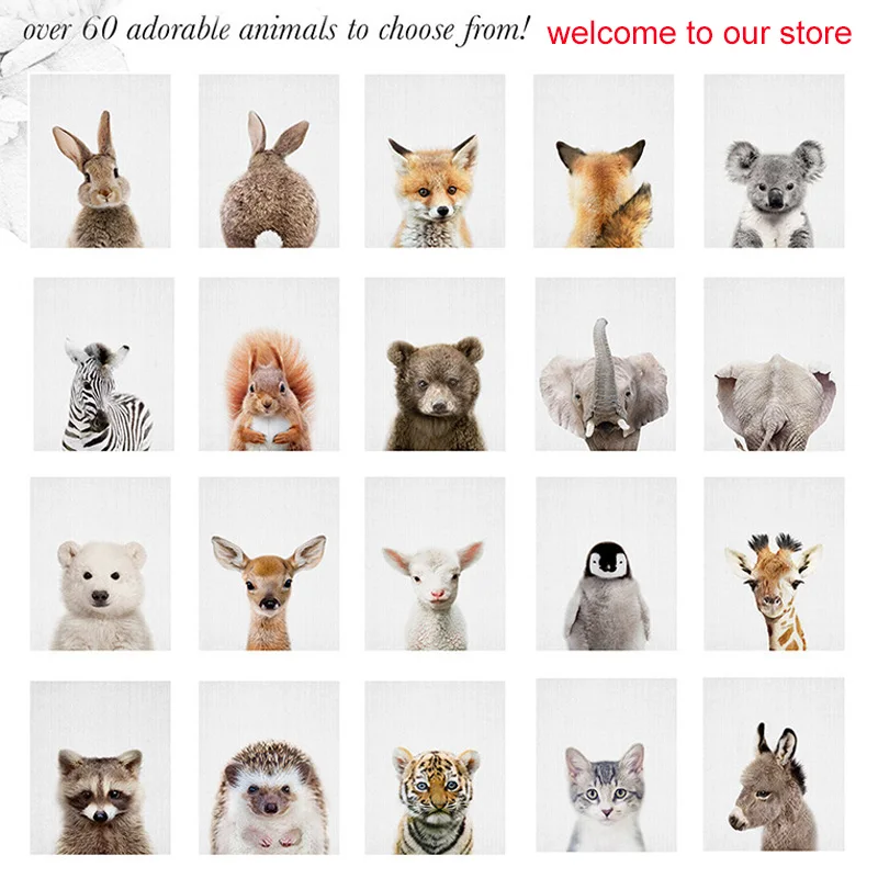 Baby Animal Prints Animal Poster Bunny Rabbit Print Nursery Wall Art Woodland Decor For Kid Forest Animal Painting For Bedroom Buy At The Price Of 1 44 In Aliexpress Com Imall Com Baby Animal Prints Animal Poster Bunny Rabbit Print Nursery Wall Art Woodland Decor For Kid Forest Animal Painting For Bedroom Buy At The Price Of 1 44 In Aliexpress Com Imall Com