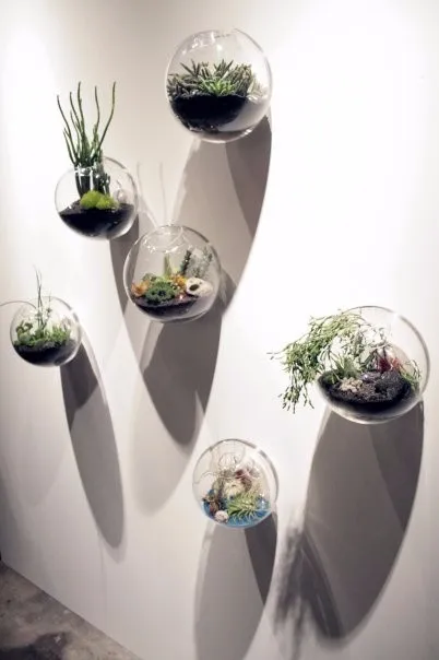 6pcs-set-wall-hanging-glass-fishbowl-wall-planter-vase-for-home-decor-garden-decor-house-ornament