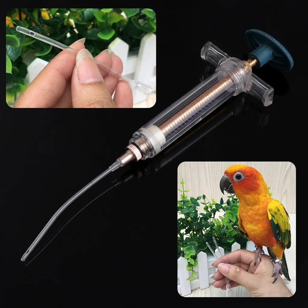 Parrots Bird Feeding Syringe Epidemic Prevention Treatment Injector